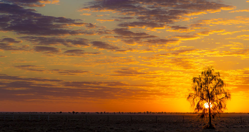 Working in Regional Australia