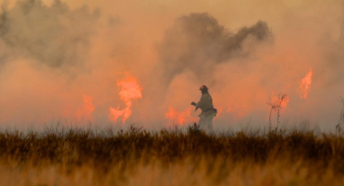 Backpackers Rewarded with 2nd Year Visa for Bushfire Help