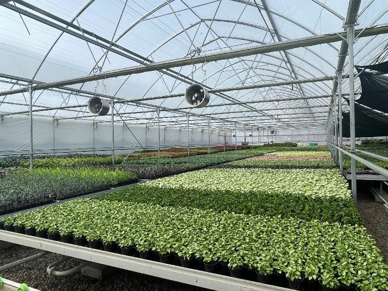 Production Nursery - Indoor Plants Propagation Team Member Required